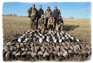 Alberta Duck Hunts